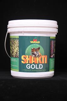 Shakti Gold Services in Mumbai Maharashtra India